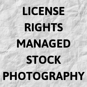 Stock Photography Licensing 
